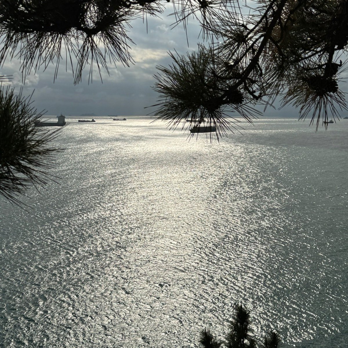 승관이도 건강하자
맛있는 거 많이 먹고 푹 자고