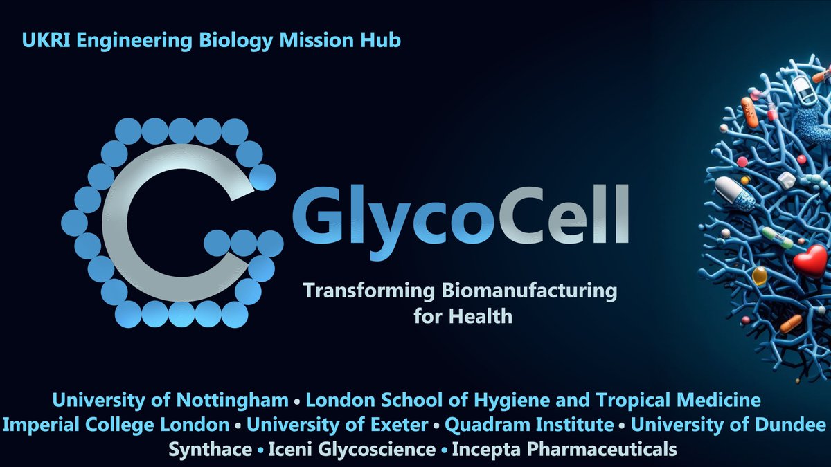 John Heap (@johntheap) on Twitter photo Delighted our GlycoCell Engineering Biology Mission Hub has been funded by <a href="/UKRI_News/">UK Research and Innovation</a> <a href="/BBSRC/">Biotechnology and Biological Sciences Research</a> Technology Missions Fund! So excited to apply Engineering Biology to unlock the applied potential of glycans for biomedicines and beyond ukri.org/news/new-100m-… nottingham.ac.uk/news/glycocell… Delighted our GlycoCell Engineering Biology Mission Hub has been funded by <a href="/UKRI_News/">UK Research and Innovation</a> <a href="/BBSRC/">Biotechnology and Biological Sciences Research</a> Technology Missions Fund! So excited to apply Engineering Biology to unlock the applied potential of glycans for biomedicines and beyond ukri.org/news/new-100m-… nottingham.ac.uk/news/glycocell…