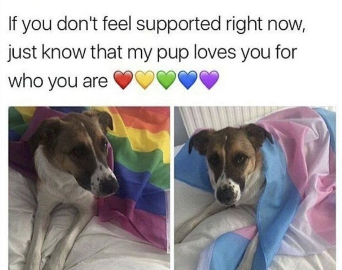 Respectful Memes (@respectfulmemes) on Twitter photo 