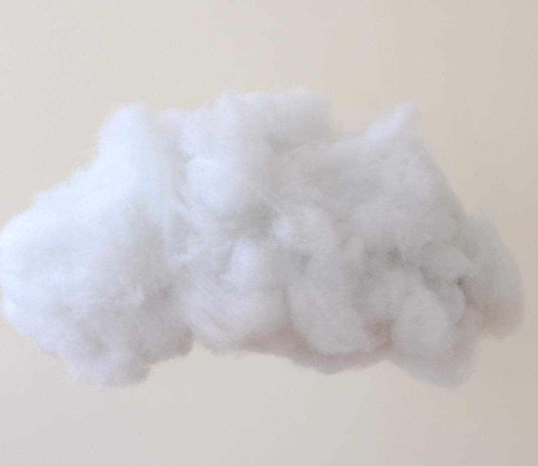 Ferris Heart Sloane tweet media