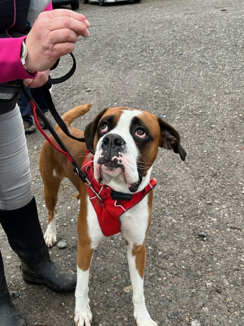 Penllergare tweet media