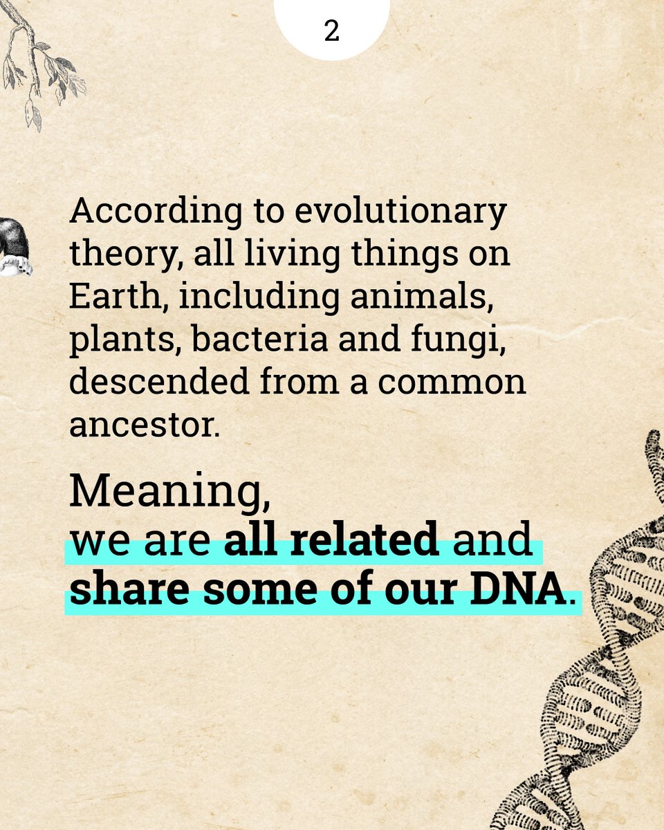 2) According to #EvolutionaryTheory, all living things on #Earth, including animals, plants, bacteria and fungi, descended from a common ancestor. Meaning, we are all related and share some of our #DNA.