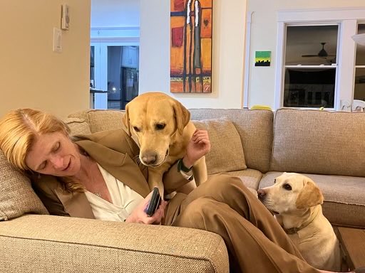 CassSunstein's tweet photo. Hey @SamanthaJPower, you match! #StylishDogs https://t.co/xycNuoKHfA