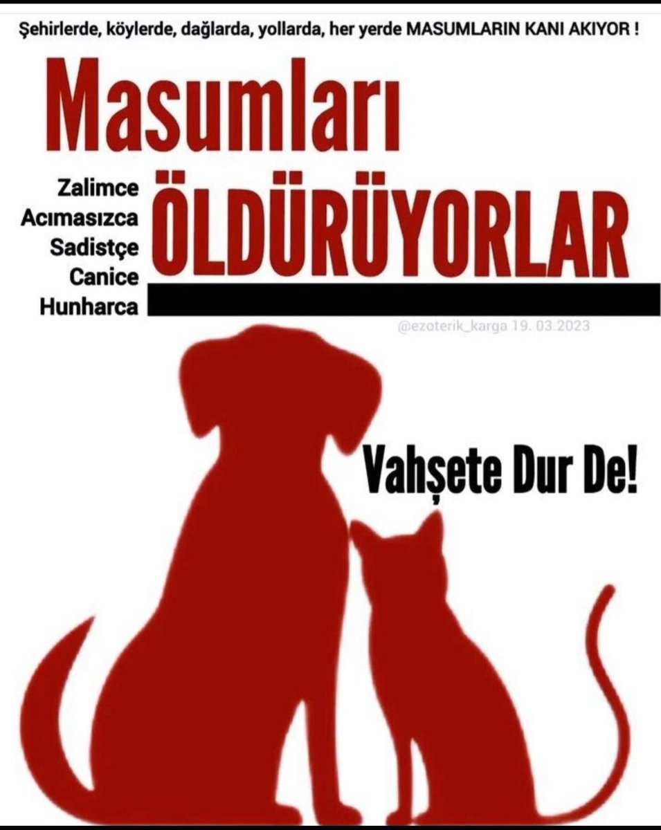 Srpulsy's tweet photo. Hayvan hakları söz konusu ise sahipli/sahipsiz hayvan ayrımını kabul etmiyorum. 
Şiddete uğrayan hayvana
“sahipsiz” diye adalet sırtını dönebilir mi? Ona adalet denebilir mi?
#HayvanHaklarıAnayasaya 
#ibrahimkeloğlantutuklansın
#SokakHayvanlarıSahipsizDeğil 

@RTErdogan 
@adalet_bakanlik 
@bybekirbozdag 
@TC_icisleri 
@TCTarim