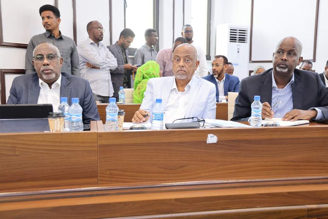 SONSA_NSA's tweet photo. Somali Civil Society, led by SONSA Chairperson @Osman_Moallim, played a pivotal role in @Golaha_shac_JFS's Constitutional Review session, marking a historic moment for CSO engagement in parliamentary sessions. https://t.co/oqqr2IAWRx