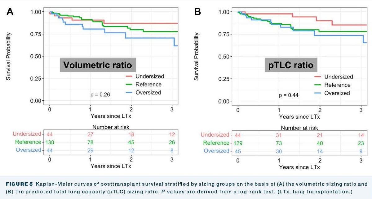 The Annals of Thoracic Surgery (@annalsthorsurg) on Twitter photo .<a href="/Neel_Prabhu/">Neel Prabhu</a> et al conclude using CT-acquired lung volumes for donor recipient size matching in lung transplantation is feasible w/advanced segmentation software, & may be more predictive of outcome compared w/current sizing methods, which use gender & height only. Link below👇 .<a href="/Neel_Prabhu/">Neel Prabhu</a> et al conclude using CT-acquired lung volumes for donor recipient size matching in lung transplantation is feasible w/advanced segmentation software, & may be more predictive of outcome compared w/current sizing methods, which use gender & height only. Link below👇