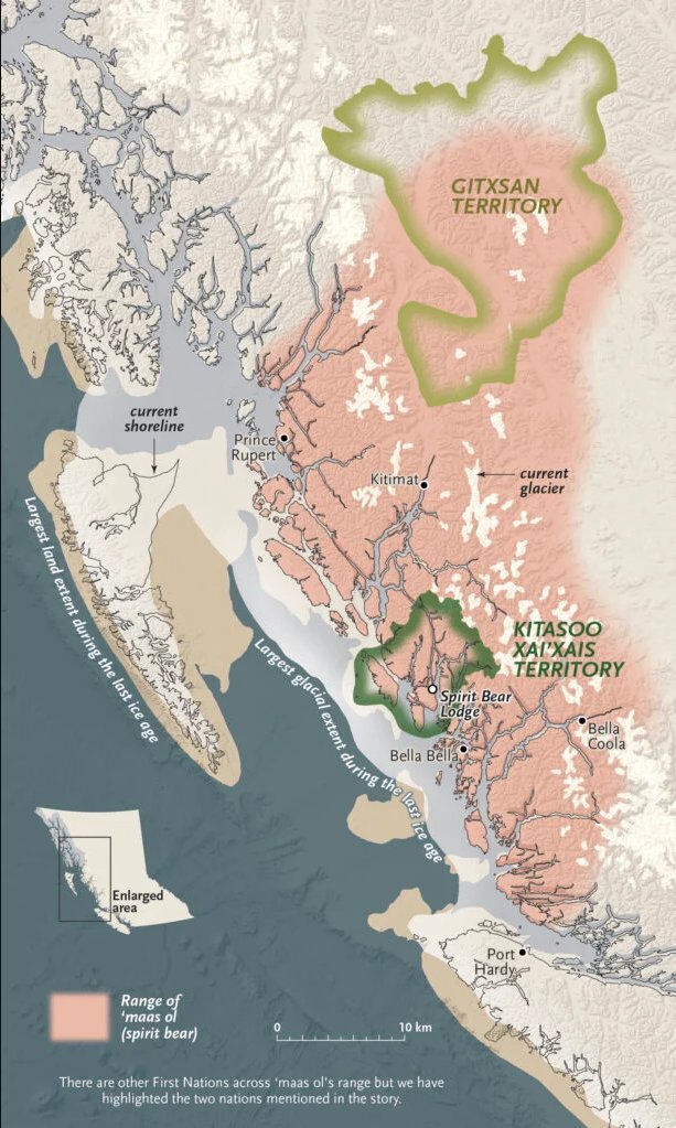 Happy #MappingMonday! Have you ever heard of the elusive spirit bear? This map and article from @CanGeo explore the connection between these bears and the last glacial maximum extent in the Pacific Northwest — read all about it: bit.ly/3SCLtui