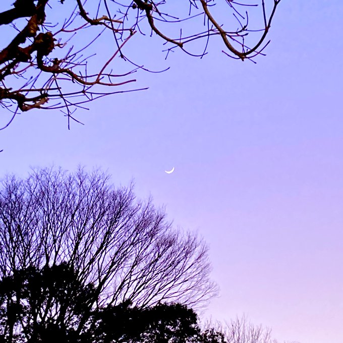 「月 シルエット」のTwitter画像/イラスト(新着)