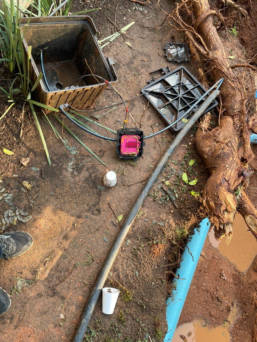 Laufitch's tweet photo. @CityPowerJhb, we have logged multiple tickets following the tree falling on our electricity pole in Barkston. They keep getting closed and we are told that they are resolved however, we have no power still? Please assist us. CP3126989, CPWEB4177879 for example https://t.co/6imltBk80S