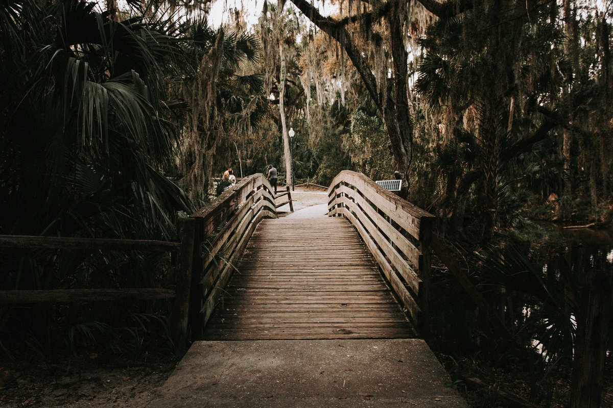 thisistylasview's tweet photo. Nature walks with my bestie. 

Canon R6 w/ Sigma Art 18-35mm f/1.8 https://t.co/44tY4heZMD