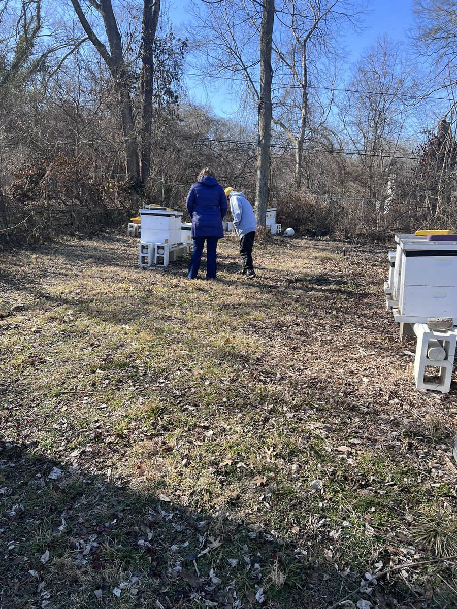 A BIG thank you to Dr Tamra Reall for visiting the apiary to consult on PJ's MO Hives Bugfolio Project.
MO Hives KC Bugfolio  : A Hyper-Local Field Guide   
This guide will feature Wildlife images by Insect Enthusiast and Beekeeping Lead, PJ Van Nieuwenhuyse