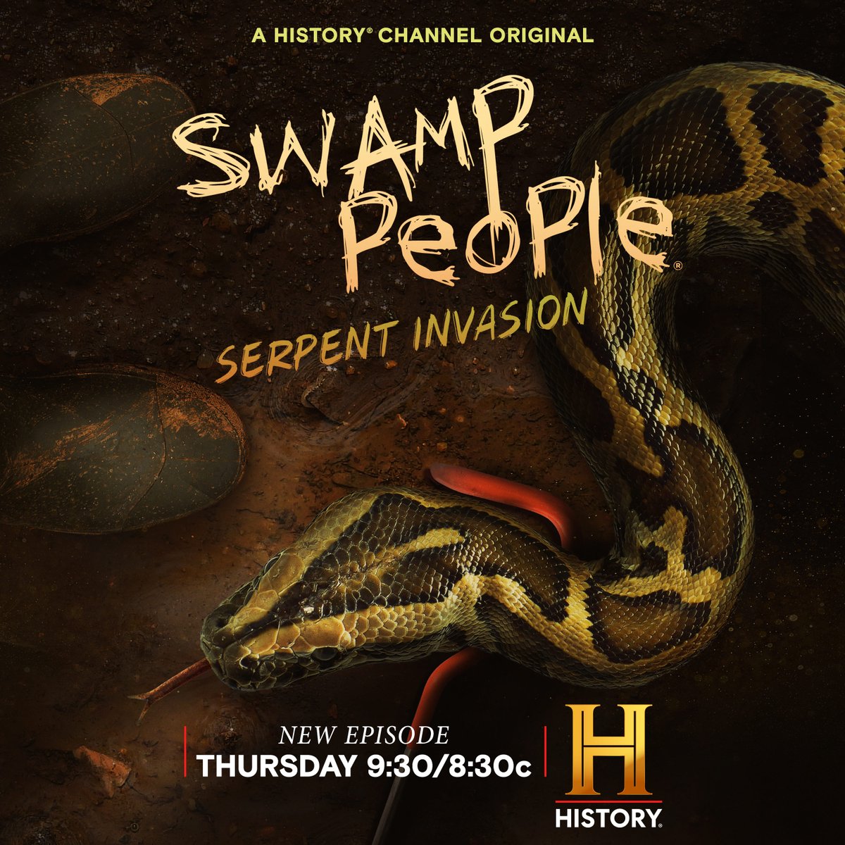 SwampPeople's tweet photo. Ssssomething's invading the Everglades.
#SerpentInvasion is back 🐍. https://t.co/qlJGcDUOUj