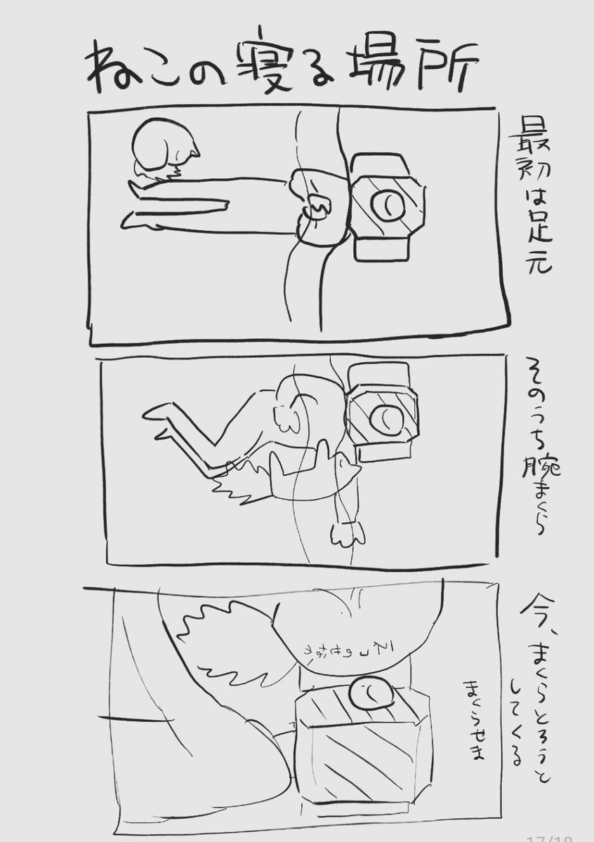 さいきんのねこ 