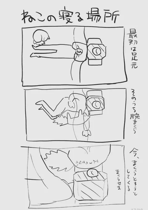 さいきんのねこ 