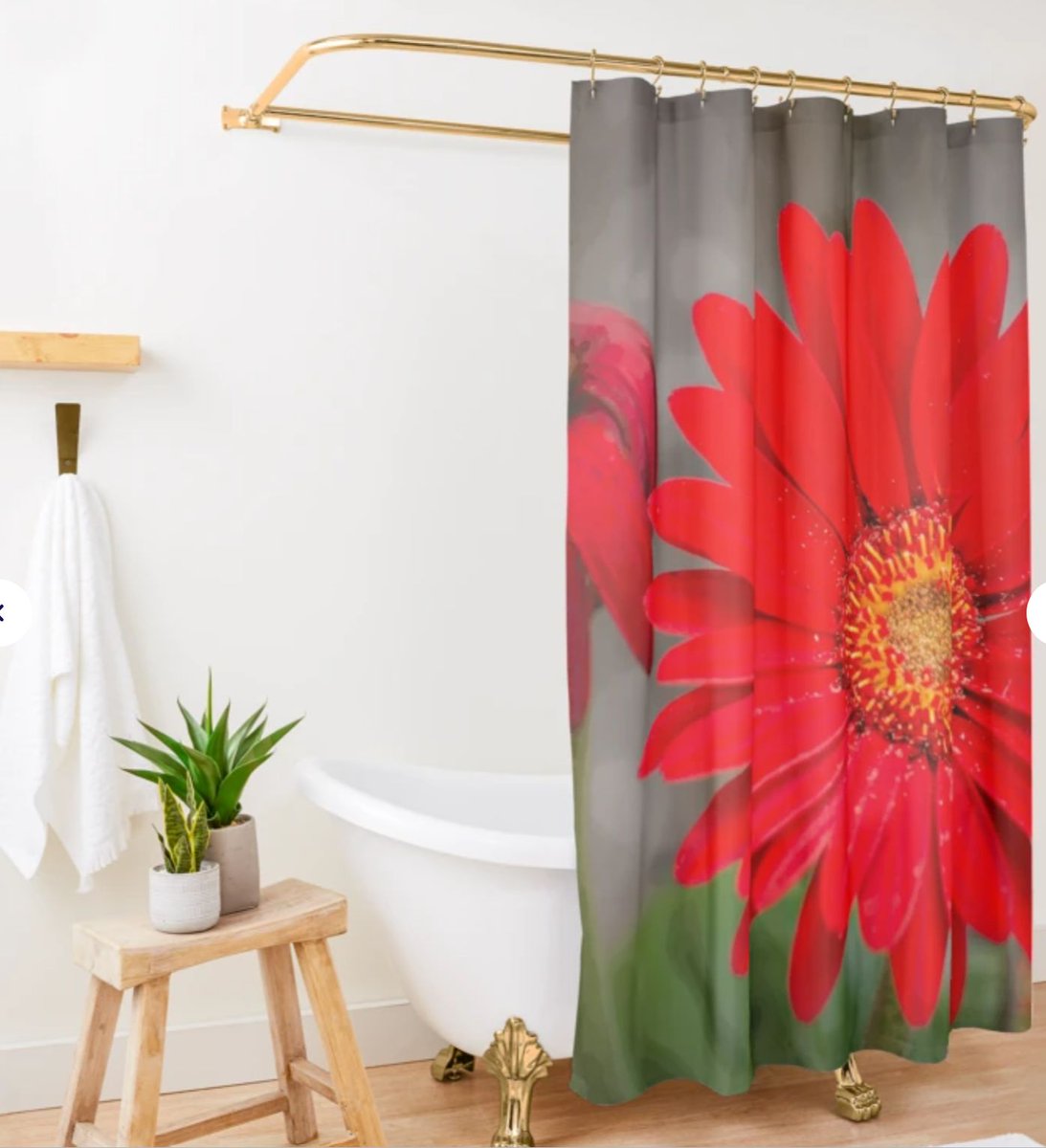 DebraMartz's tweet photo. "As One Flower Goes Another One Grows" #HomeDecor for Sale by Debra Martz
#RBandMe #FindYourThings
Shower Curtain:https://t.co/GSC6i92H7I
Bath Mat:https://t.co/SNFvBxGvt9
Wall Art: https://t.co/Yl1rxLY2zB
#Red #Flower #Gerbera #Daisy #photography #PhotographyIsArt #BuyIntoArt https://t.co/clkpEnDgQa