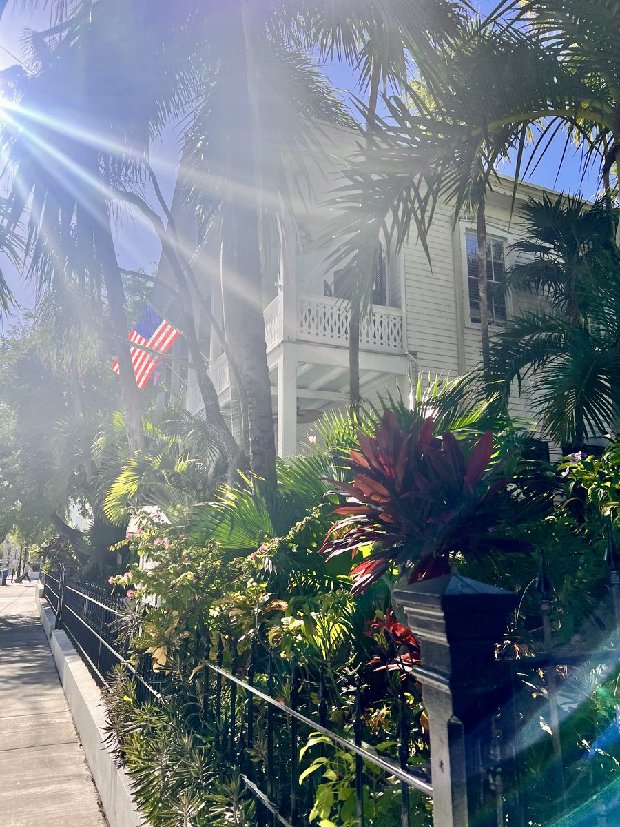 What a great day to be in Key West. 💚
.
.
.
#oldtownmanor #oldtownmanorweddings #keywest #flkeys #lovefl #petfriendly #bedandbreakfast #duvalstreet #oldtownkeywest #florida #greenhotel #boutiquehotel #hotel #historicinn #keywestvacation #keywesttravel #keywesthotel