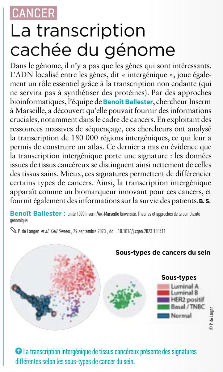 TAGC_U1090 (@tagc_u1090) on Twitter photo Félicitations à Pierre de Langen et à son directeur de thèse <a href="/BenoitBallester/">@benoitballester.bsky.social</a> pour la mise en lumière de leurs travaux dans Inserm Le Magazine #59 ! @inserm
Découvrez leur article fascinant sur "La transcription cachée du génome" : inserm.fr/magazine/inser… Félicitations à Pierre de Langen et à son directeur de thèse <a href="/BenoitBallester/">@benoitballester.bsky.social</a> pour la mise en lumière de leurs travaux dans Inserm Le Magazine #59 ! @inserm
Découvrez leur article fascinant sur "La transcription cachée du génome" : inserm.fr/magazine/inser…