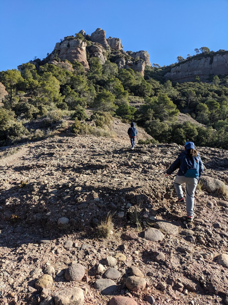 Pensator's tweet image. 1h 21m 56s Media Maratón Barcelona a 3:51 km. Contento con la evolución, de no correr hace 3 años a esto. Año que viene más 😉 Hoy de recovery day con los niños 👨‍👧‍👦