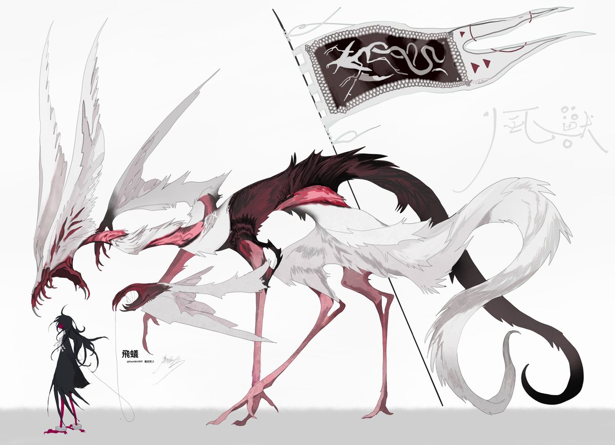 風目艮彡 tweet media