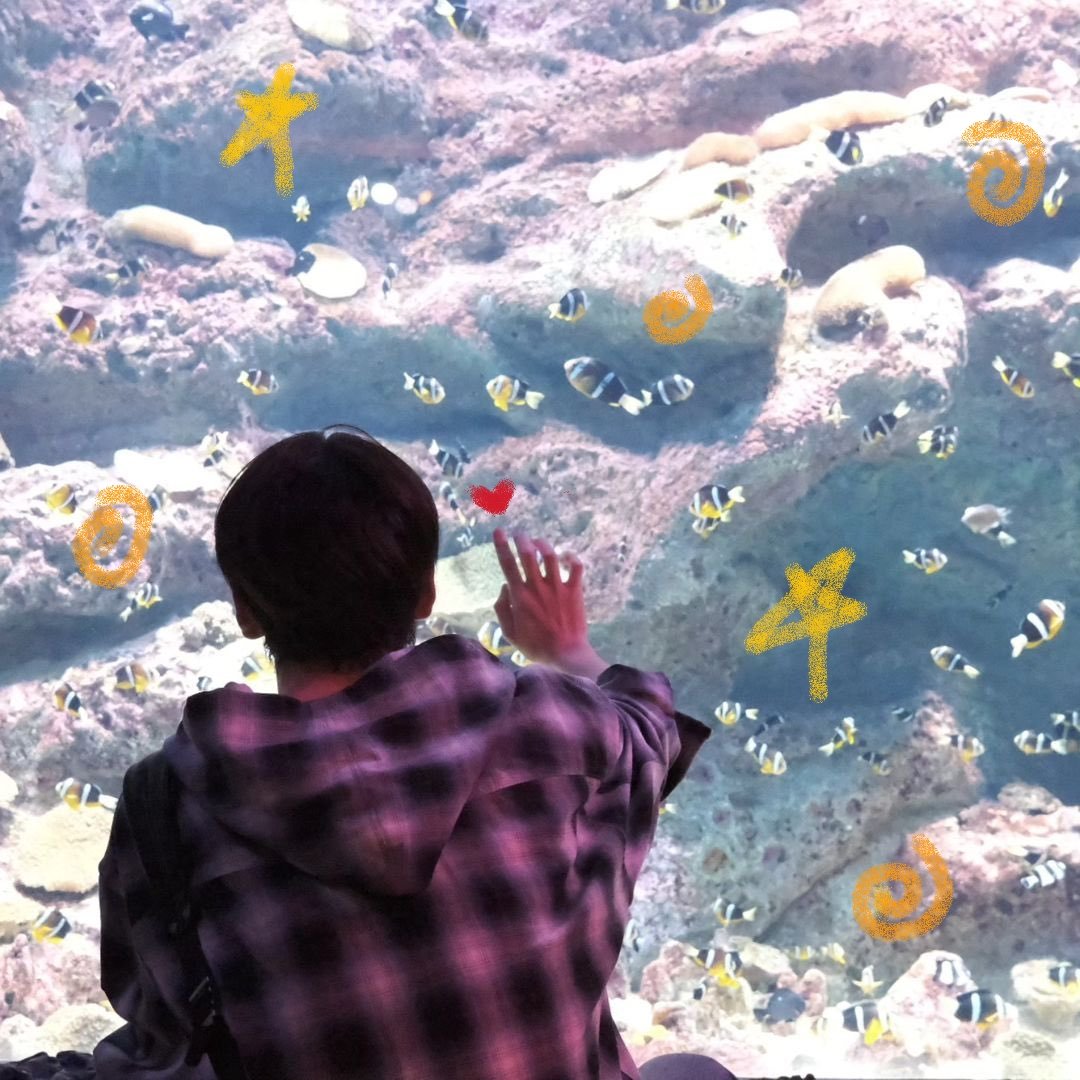 ourhomesoobin's tweet photo. 🪸⭐️🫧 https://t.co/P2slDGOqVC