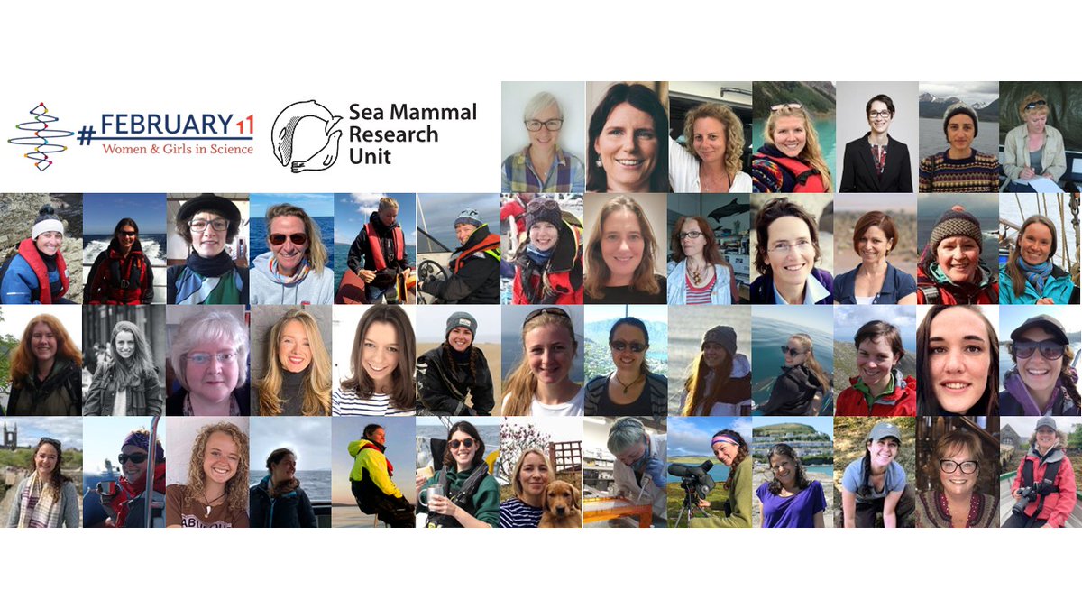 Celebrating an incredible team of researchers, lecturers, technicians, students and support staff this International Day of Women and Girls in Science 🐬🦭🐋