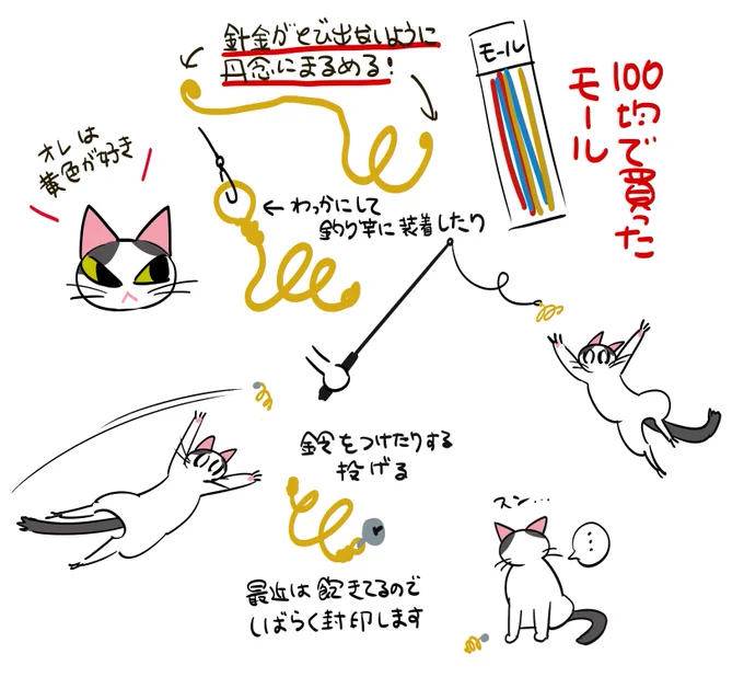 すべてのおもちゃに飽きた猫が最近ハマッたやつです