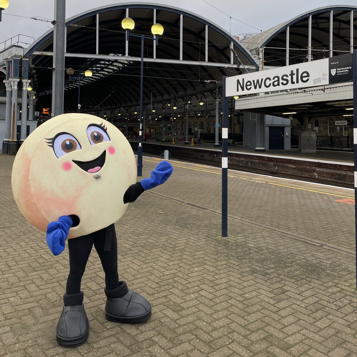 altweet_pet's tweet photo. It's National Stottie Cake Week 🙌

@bigriverne has always believed in the power of the Stottie and the first ever National Stottie Week will celebrate the North East delicacy 👏

Keep an eye out this week and try to spot Scotty the Stottie 👀

https://t.co/3uXnnvGyxh https://t.co/vvcfghn52s