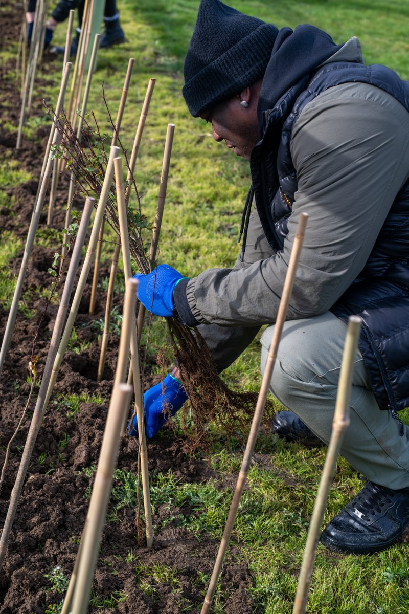 UPS_UK's tweet image. 36 volunteers planted 3100 trees and hedges at Huntingdon Racecourse, as part of our initiative with International Tree Foundation, funded by The @UPS Foundation
We continue to make positive contributions to our broader target to plant 50mn trees globally by 2030
#UPSGivesBack