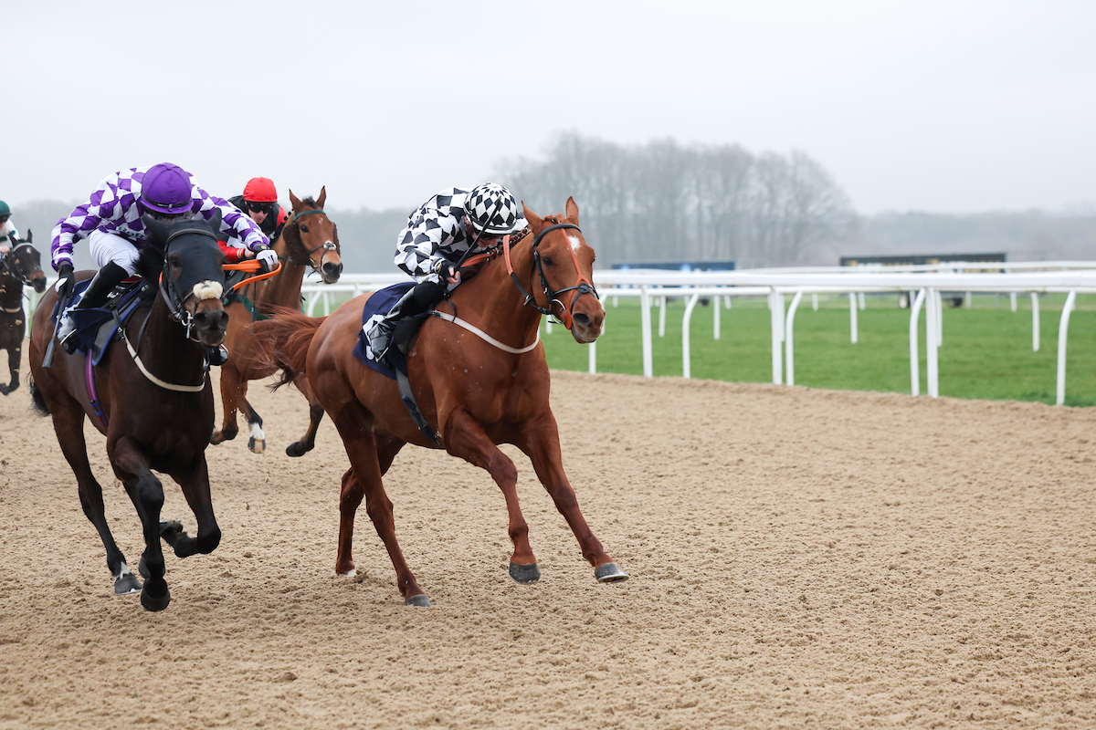 It was a fantastic win by Explorers Way on Saturday under a great ride by @BeN_RobinsoN18 to take the 1m2f H'cap at @NewcastleRaces Winner no: 6 this year for our Racing Club😀 @grossickphoto