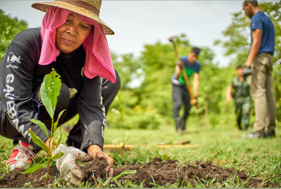Check out the latest @ca4sh_global  Op-Ed on Biochar Carbon Removal for Global Food Security by Wendy Lu Maxwell-Barton <a href="/Biochar_IBI/">International Biochar Initiative</a>  
#biochar enhances soil health by improving water retention contributes to #climate change adaptation and mitigation
👉bit.ly/49dnKIg