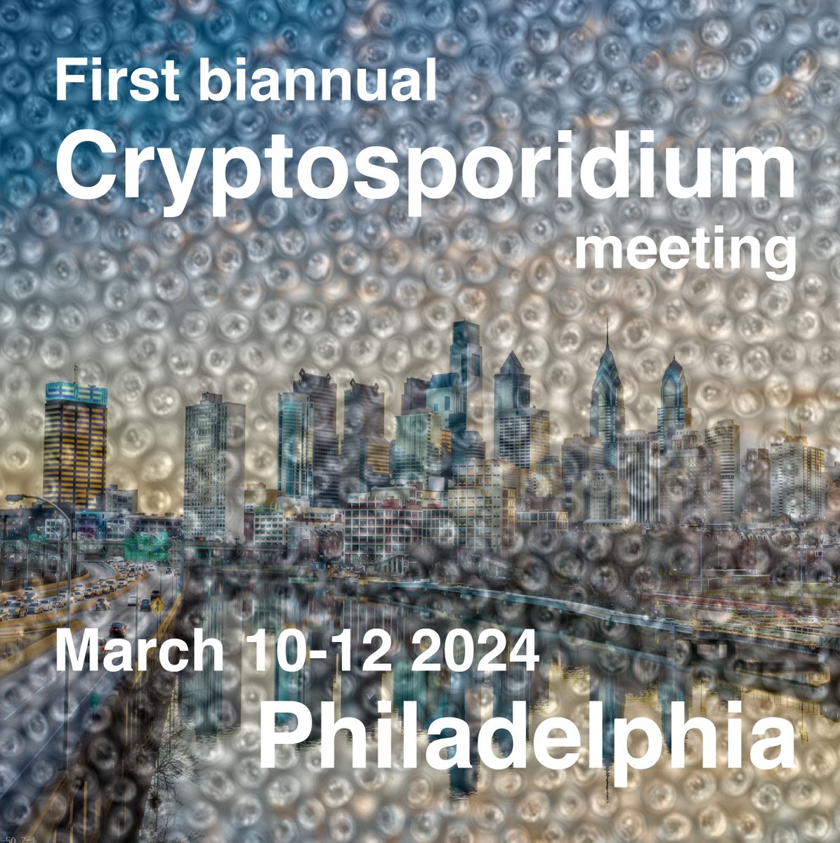 Cryptosporidium 2024 is almost here! Thanks to all of your submissions there is an exciting program to check out at file:///Users/striepen/Downloads/Crypto_2024_program.pdf @BSPparasitology @parasitesrule @AmSocParasit @TrendsParasitol @ParaFrap @AS_Para @pennvet @KingOfPathogens