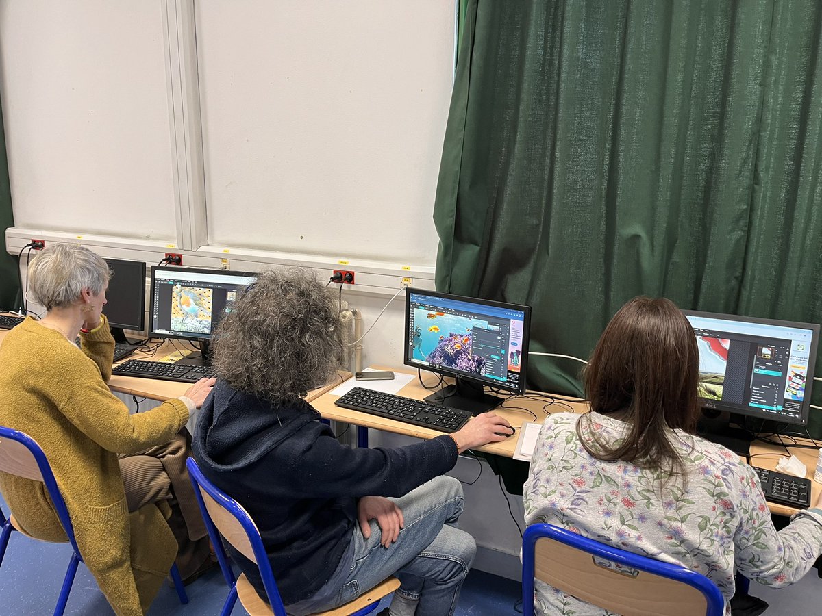 GauchotLaurent's tweet image. 🔴 12/2/2024 
Formation Arts plastiques et  l’utilisation du numérique. Jour 2 au Collège Sadi Carnot d'Argenteuil. 
Mettre en place des séquences d’arts plastiques avec une «boîte à outils numériques» efficace pour tous!
#PIXLR #framevr #Freeform 
@acversailles @IPR_VERSAILLES
