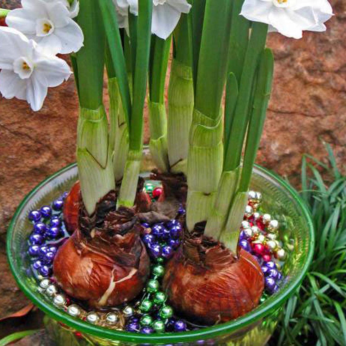 SMUtilities's tweet photo. Many celebrations end with leftover decorations. If you find yourself with excess items, consider reusing them for the next year, or #upcycling them into something useful. Check with local teachers, they may have a use for school art projects. #MardiGras2024 #SantaMariaCA #Reuse https://t.co/YT4ixDxSIQ