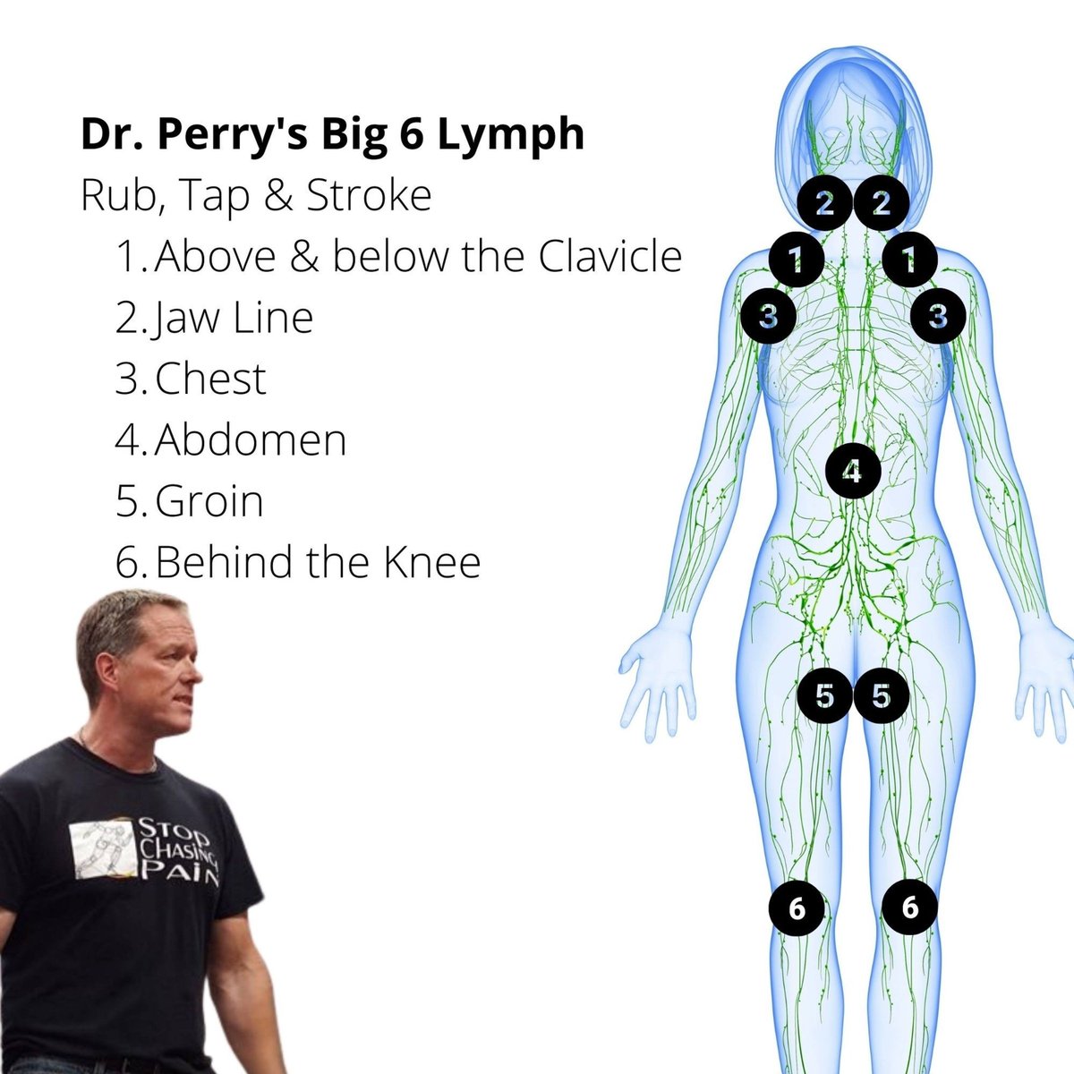 I love the Big 6 Lymph method by @stopchasingpain prior to sauna personally. Truly one should take a couple of minutes every AM for this protocol. Lymph needs movement, and 8h+ of stagnation during the night can def make one feel sluggish/low energy in the AM if lymphatic