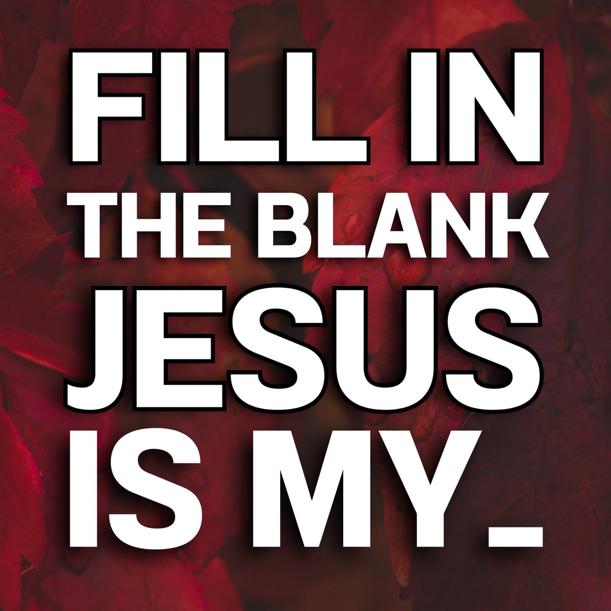 Daily Bible Verses tweet media