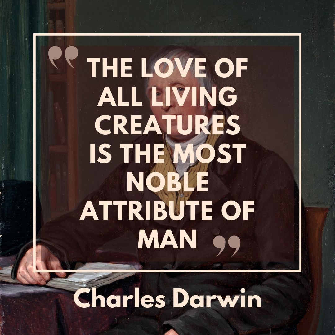 CalendarsUK's tweet photo. "The love of all living creatures is the most noble attribute of man" - Charles Darwin ❤ #LoveForAllCreatures #DarwinDay https://t.co/bBz1pp5jd4