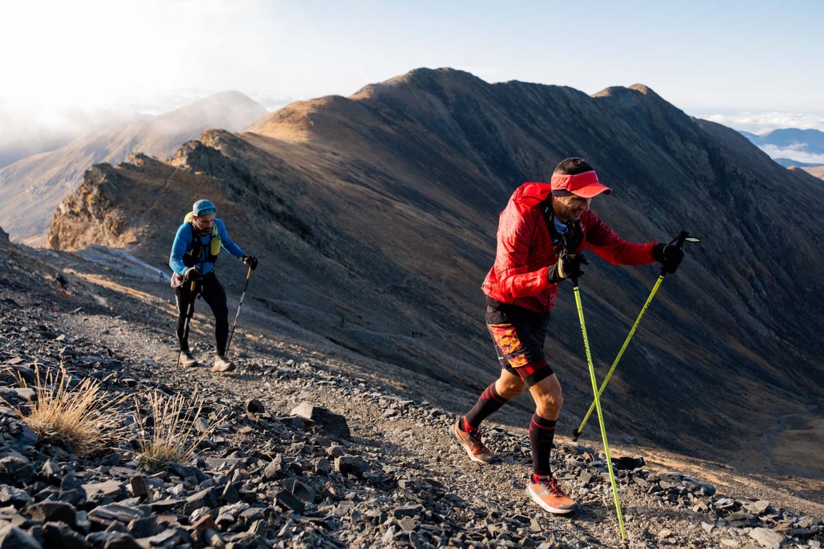 BiFree Sports tweet media