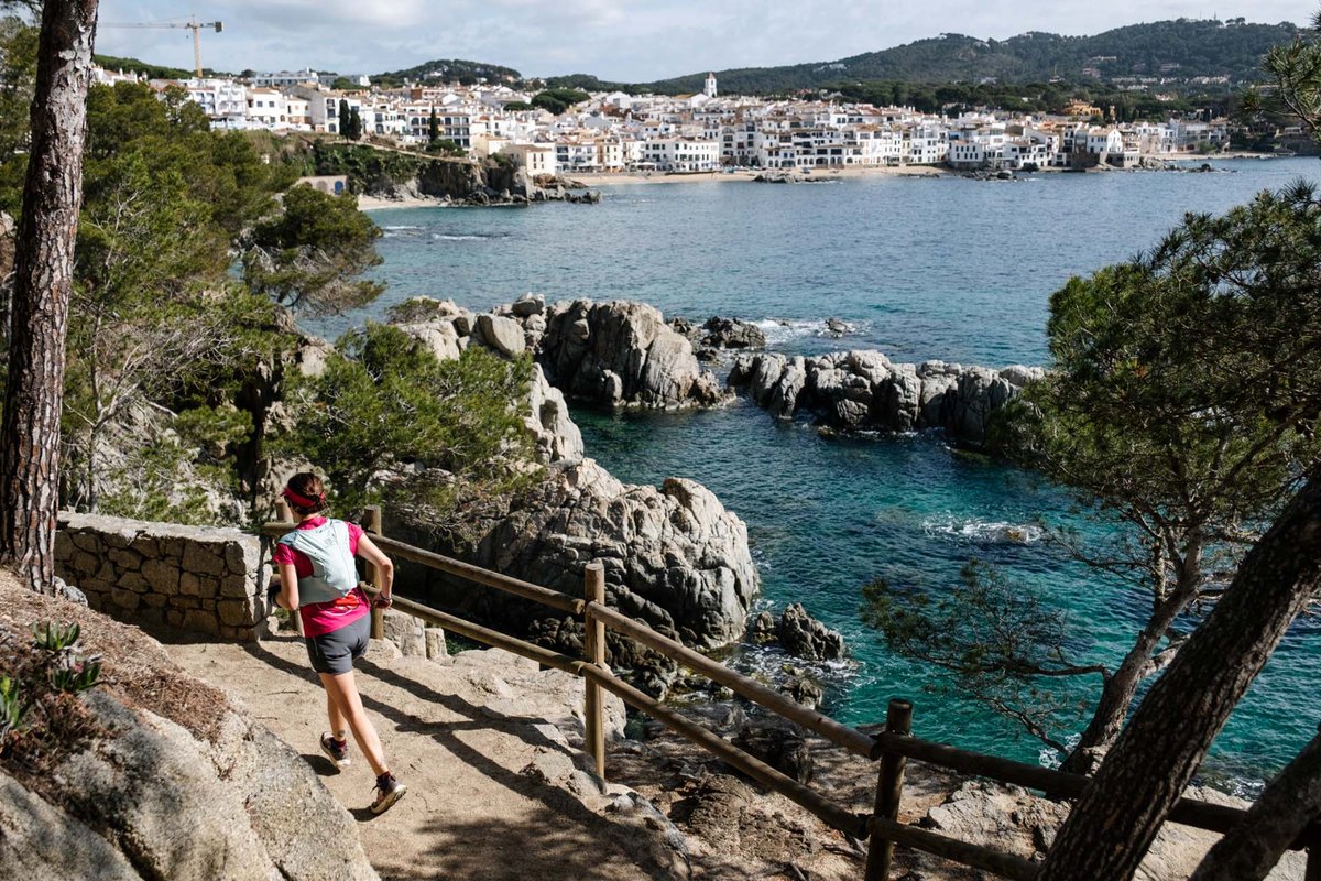 BiFree Sports tweet media