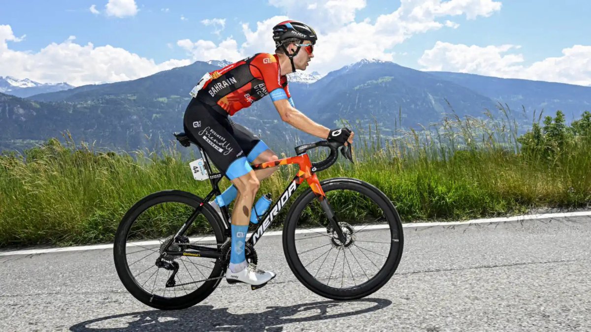 🇵🇸 tweet media