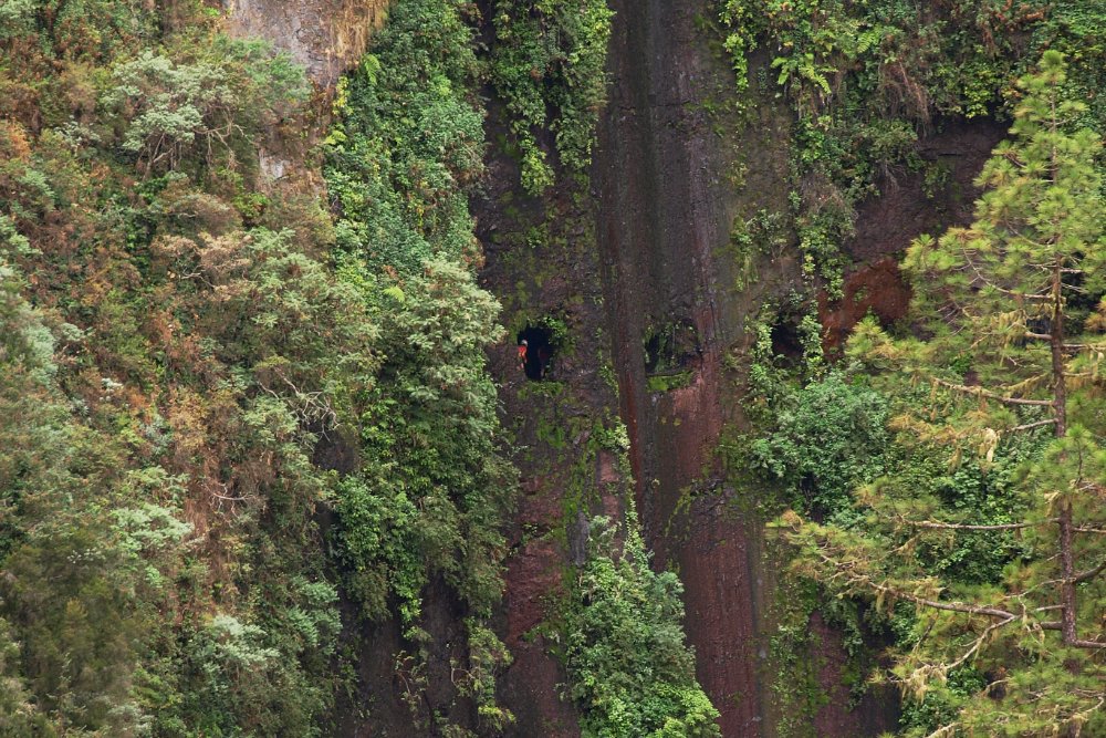 BuzzTrips tweet media