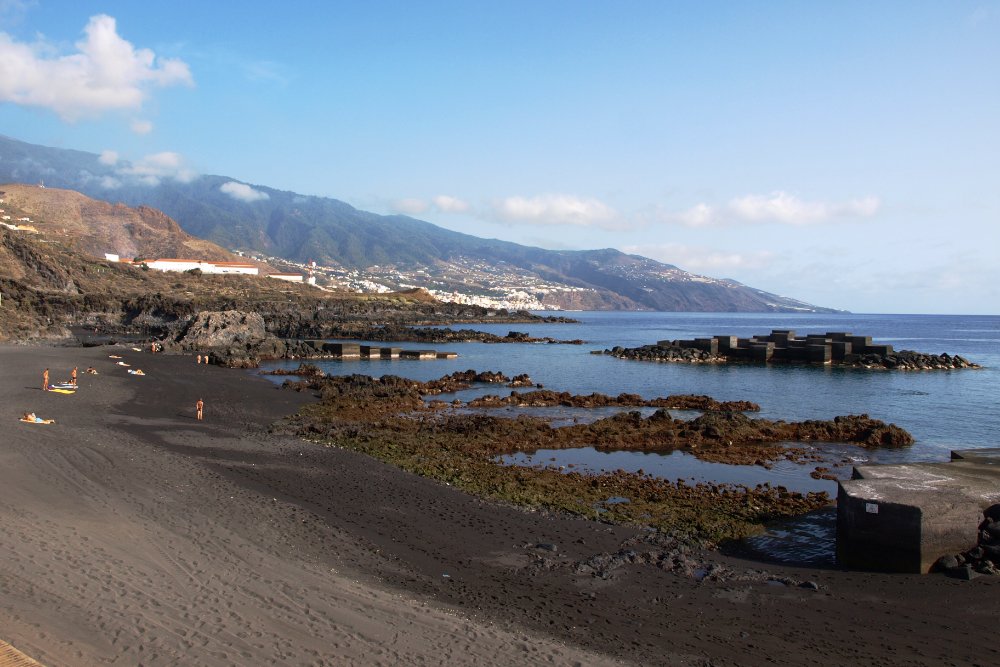 BuzzTrips tweet media