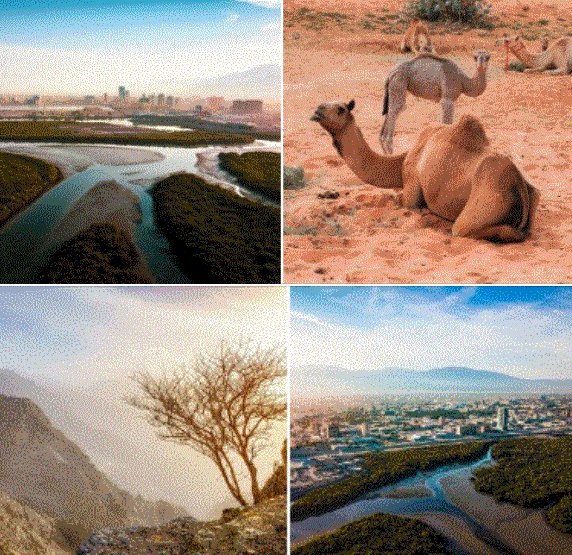 ALL INCLUSIVE RAS AL KHAIMAH
2nd June 2024  -  7 nights
InterContinental Ras Al Khaimah Resort and Spa
All inclusive dine around
Manchester - £1399 per person
Return private transfers
1 piece checked luggage per person
Deposit - £100 per person
Prices  based on 2 sharing.