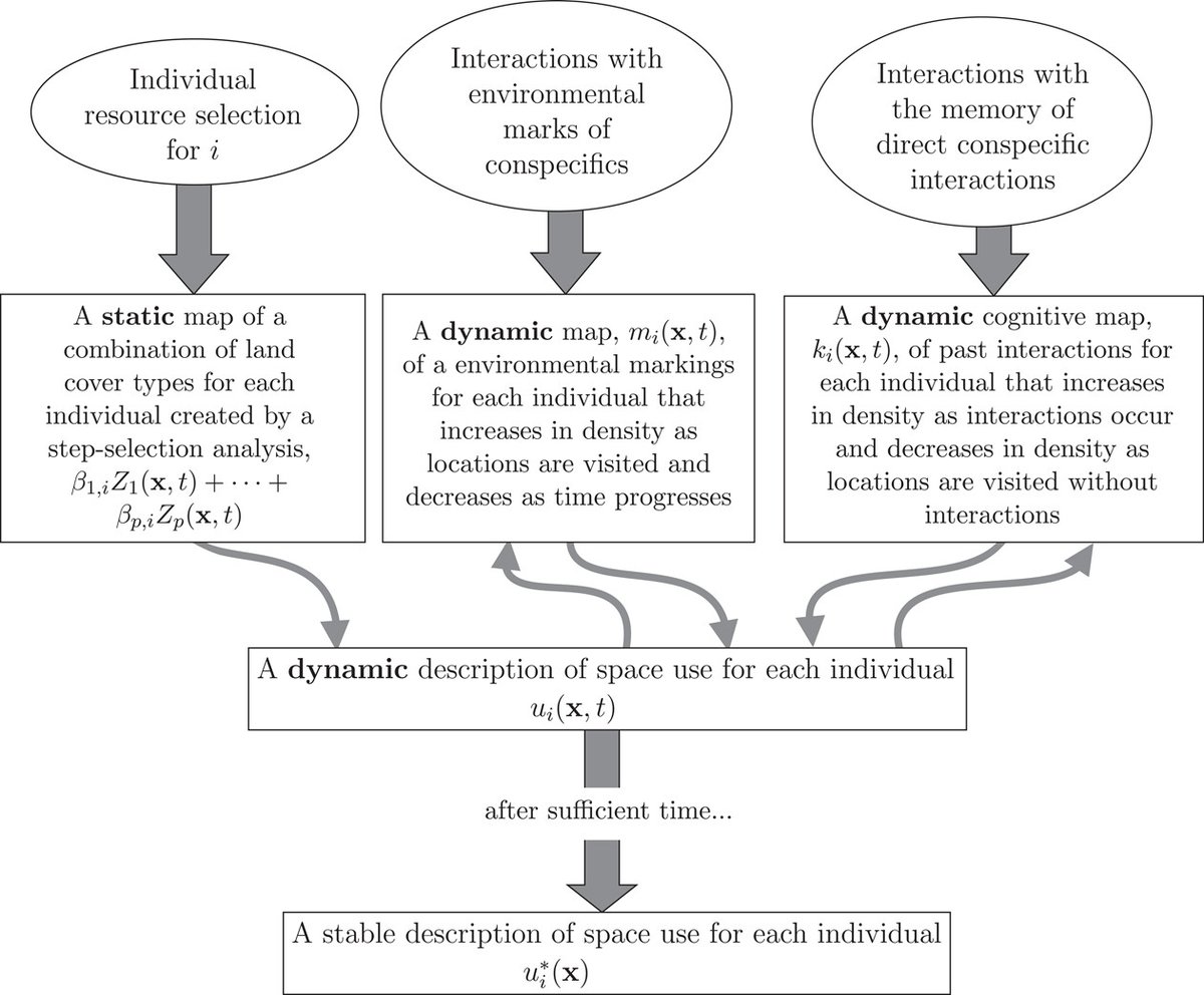 Combining animal interactions and habitat selection into models of space use: a case study with white-tailed deer nsojournals.onlinelibrary.wiley.com/doi/10.1002/wl… #movement #ecology #models #deer @NordicOikos @WileyEcolEvol