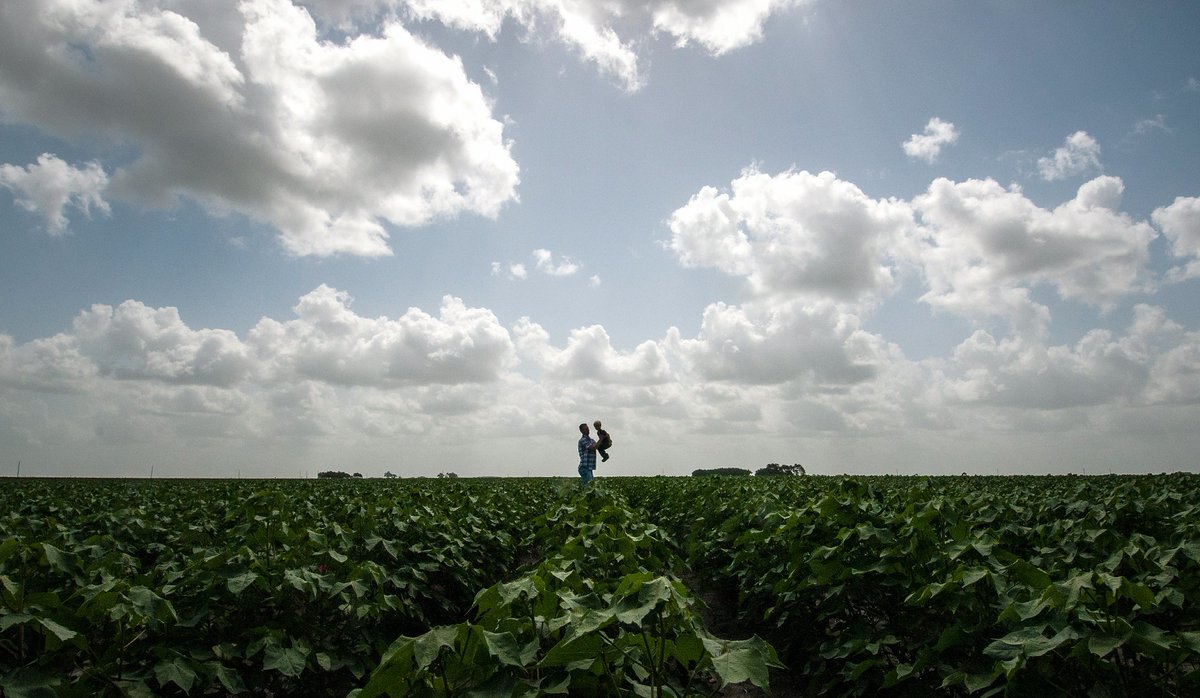 USDA_NRCS's tweet photo. .@USDA Launches New Working Lands Climate Corps to Train Future Conservation and Climate Leaders https://t.co/AndZsTFPV5 https://t.co/tMJfQgfkZO