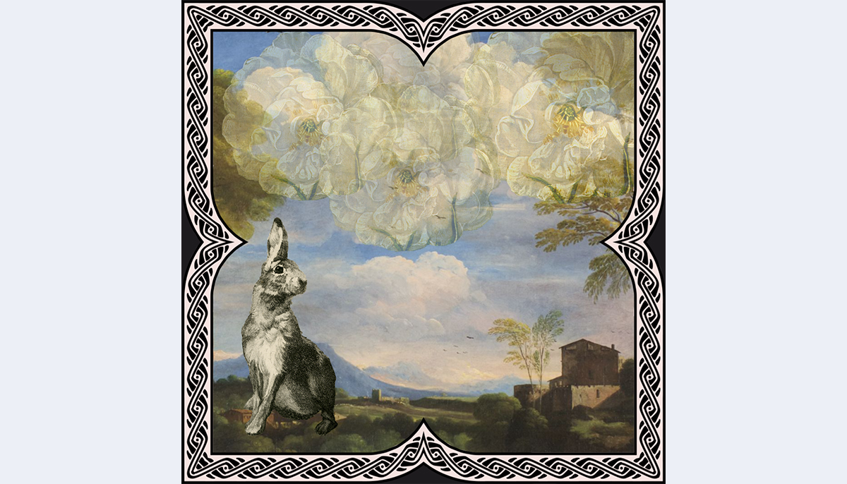 Digitalwarenkombinat 🇺🇦 🇪🇺 tweet media