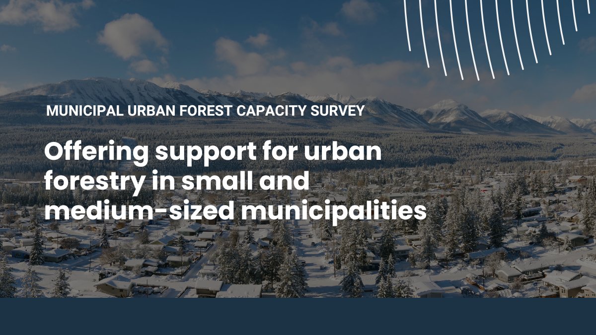 Tree Canada (@treecanada) on Twitter photo 🌳🏙️ <a href="/TreeCanada/">Tree Canada</a> wants to create resources and supports to increase capacity for #urbanforestry in #CDNmuni with fewer than 100,000 residents. We invite you to participate in our Municipal Urban Forestry Capacity Survey by February 29: bit.ly/3wnhejB
<a href="/AdrinaBard/">Adrina C. Bardekjian, PhD</a> 🌳🏙️ <a href="/TreeCanada/">Tree Canada</a> wants to create resources and supports to increase capacity for #urbanforestry in #CDNmuni with fewer than 100,000 residents. We invite you to participate in our Municipal Urban Forestry Capacity Survey by February 29: bit.ly/3wnhejB
<a href="/AdrinaBard/">Adrina C. Bardekjian, PhD</a>