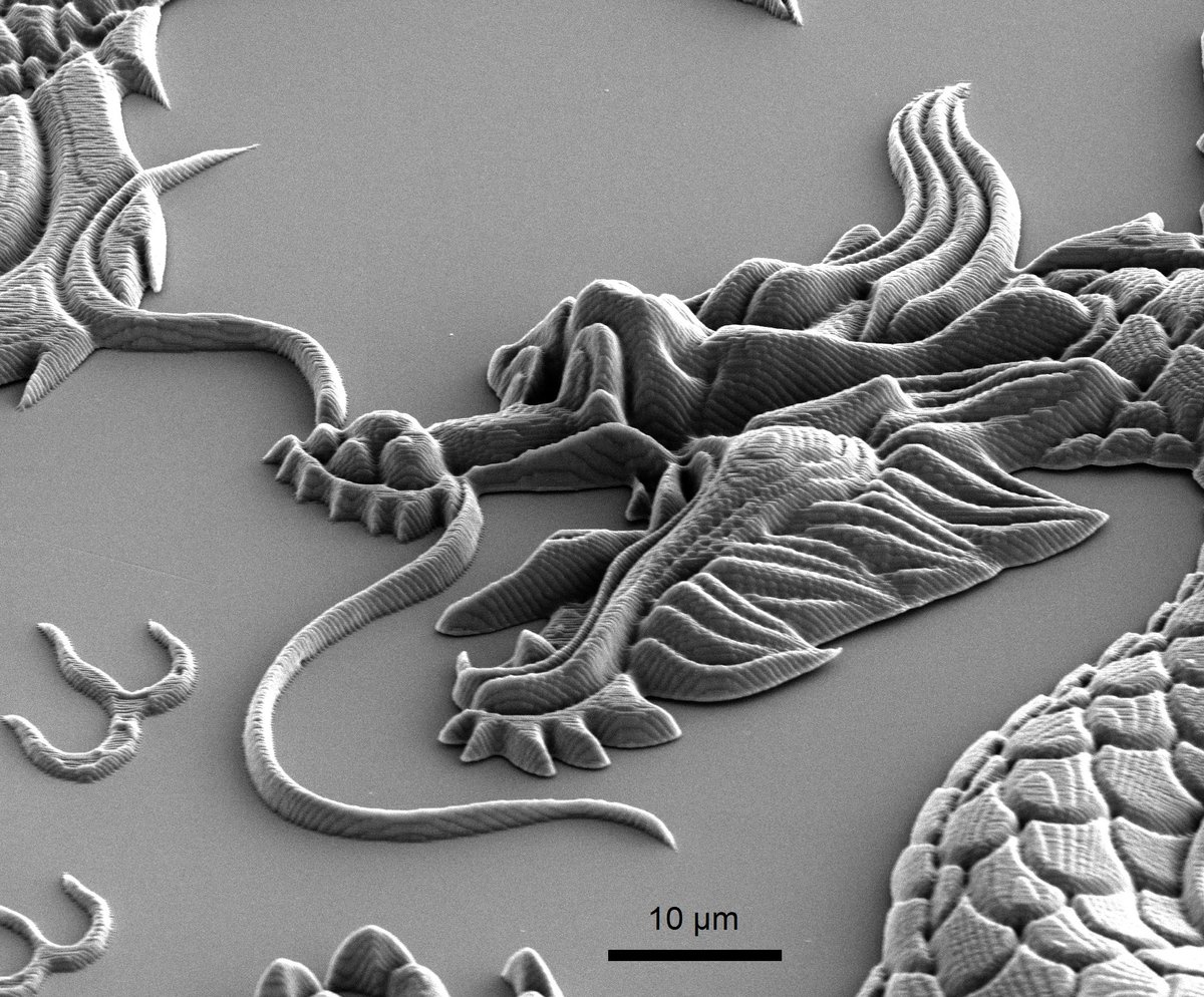 Newcastle University tweet media