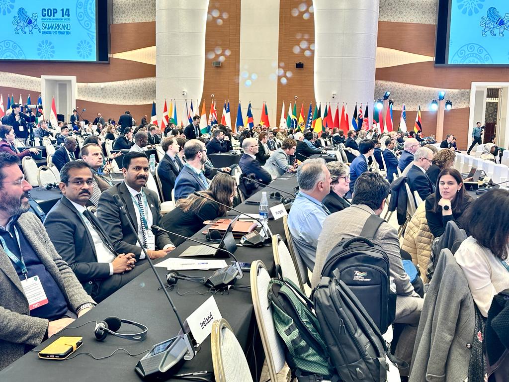 India during the COP 13 Presidency to the Convention on the Conservation of #MigratorySpecies of Wild Animals (CMS) pioneered efforts on conservation of migratory species including Asian Elephants, #Dolphins, #Vultures, #SnowLeopard etc.