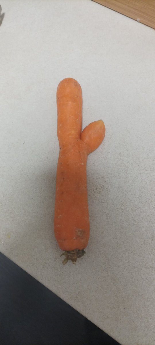 Zglobolomac's tweet photo. Kaže žena da nema bolje šargarepe od ove! Mišljenja? https://t.co/GYj0XuPe01