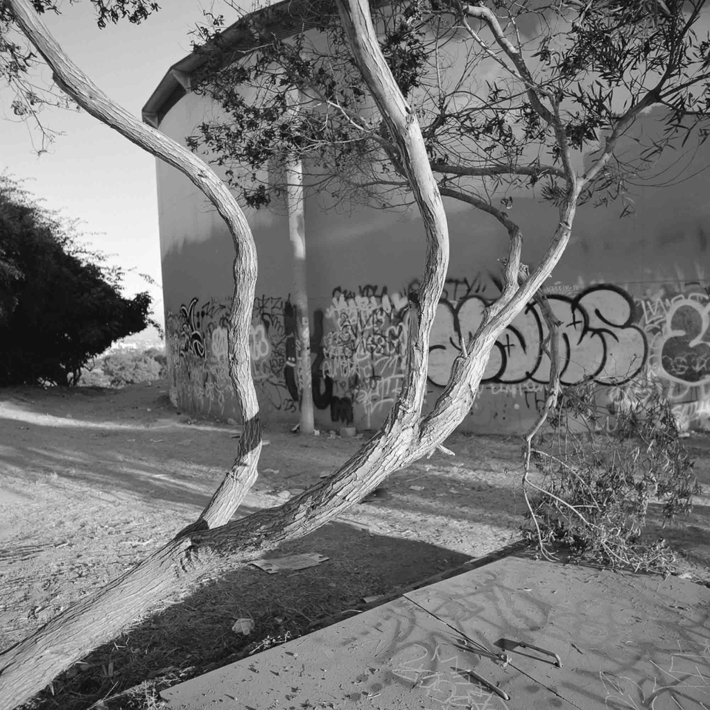'Angels Point, Los Angeles (Aug. 2023)' by Kyle Dunlap